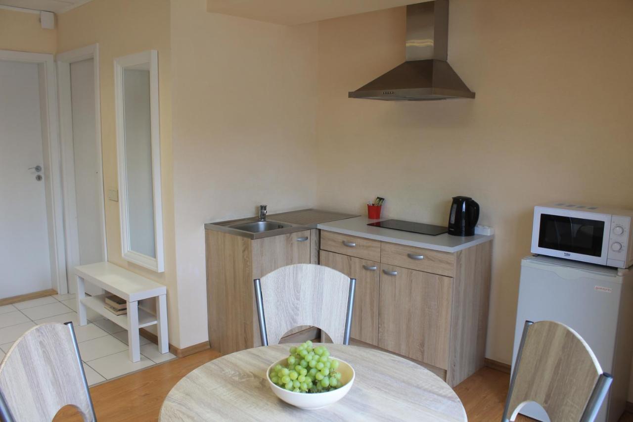 Parko Studija Apartment Birstonas Bagian luar foto
